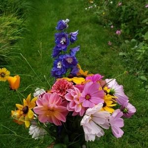 Meet your Posher, Heather